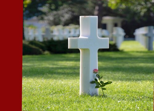 pexels.com / jesús-esteban-san-josé.j